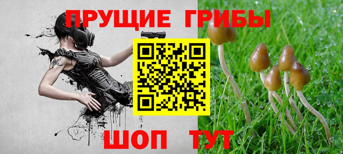 Галлюциногенные грибы мухоморы Курчатов