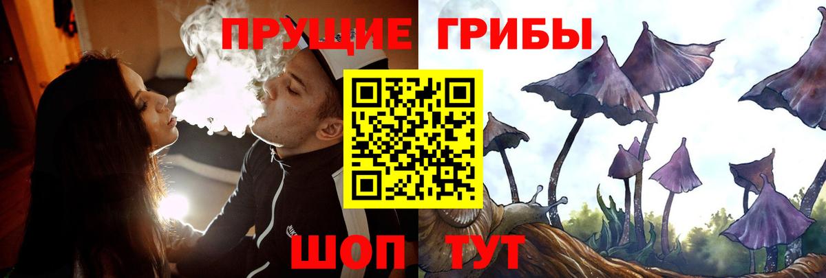 Псилоцибиновые грибы Cubensis  Галлюциногенные грибы Psilocybine cubensis  Вход с VPN  Курчатов 